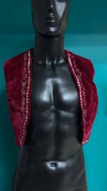 Восточная жилетка: Восточная жилетка бархат