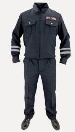 Форма ДПС: Форма ДПС (50)