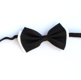 Бабочка черно-белая