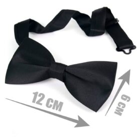 Бабочка мужская черная