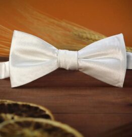 Бабочка белая