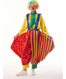 Клоун разноцветный (50)