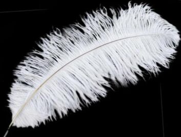 Перо белое